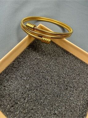 Gold Tone Snake Coil Bracelet with Box